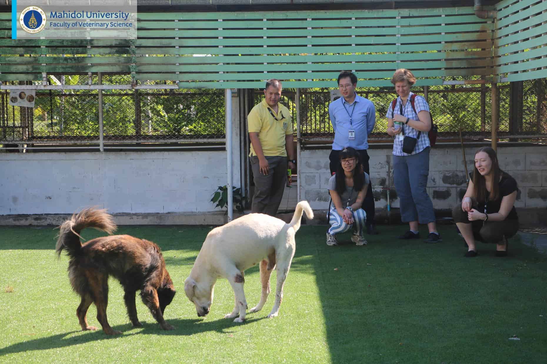 โรงพยาบาลสัตว์มหิดล	MU Vet Sci โรงพยาบาลสัตว์ประศุอาทร คณะสัตวแพทยศาสตร์ มหาวิทยาลัยมหิดล 2