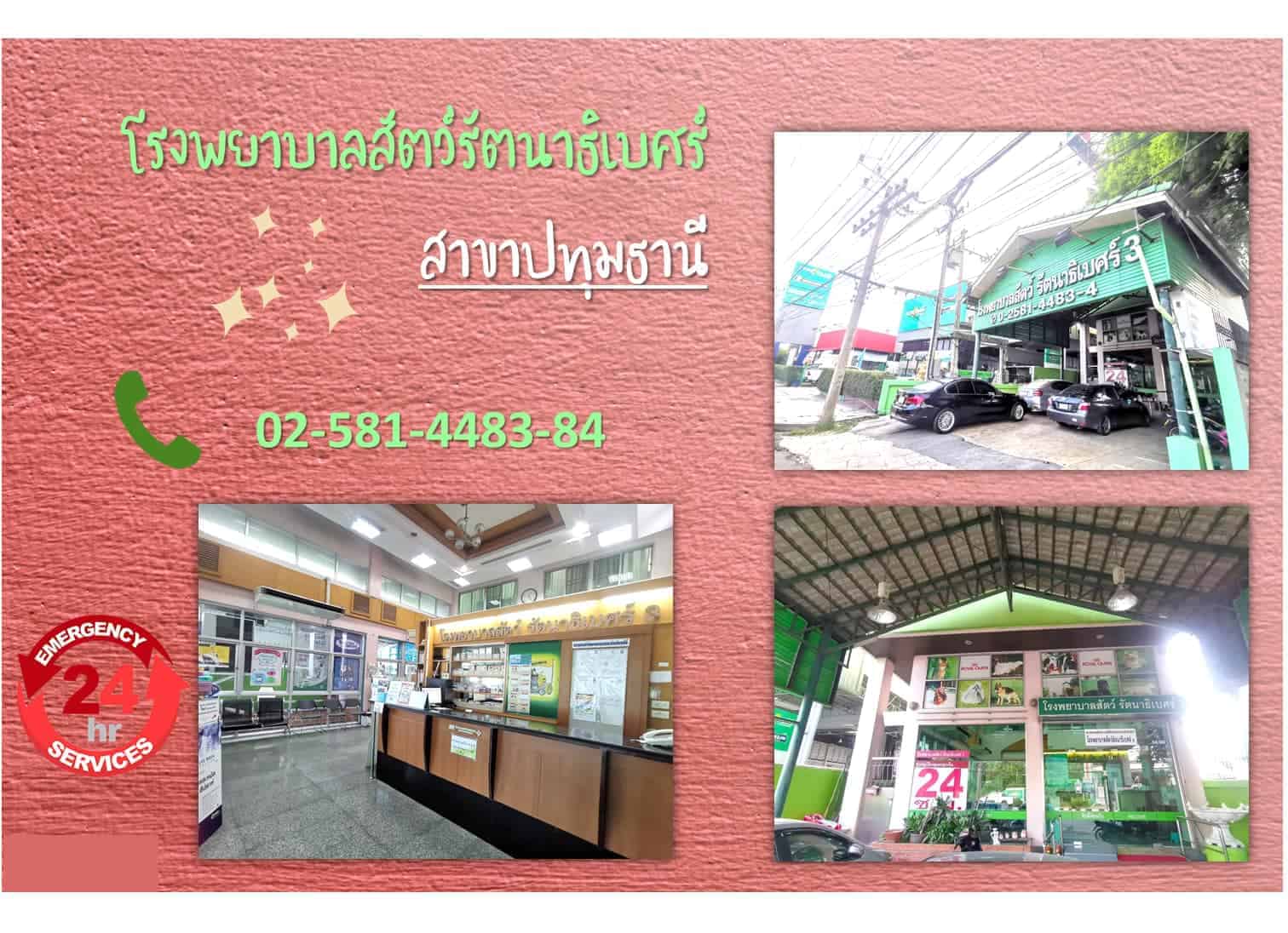 โรงพยาบาลสัตว์รัตนาธิเบศร์ (ปทุมธานี) RTB Referral Animal Hospital (Pathumthani) 2