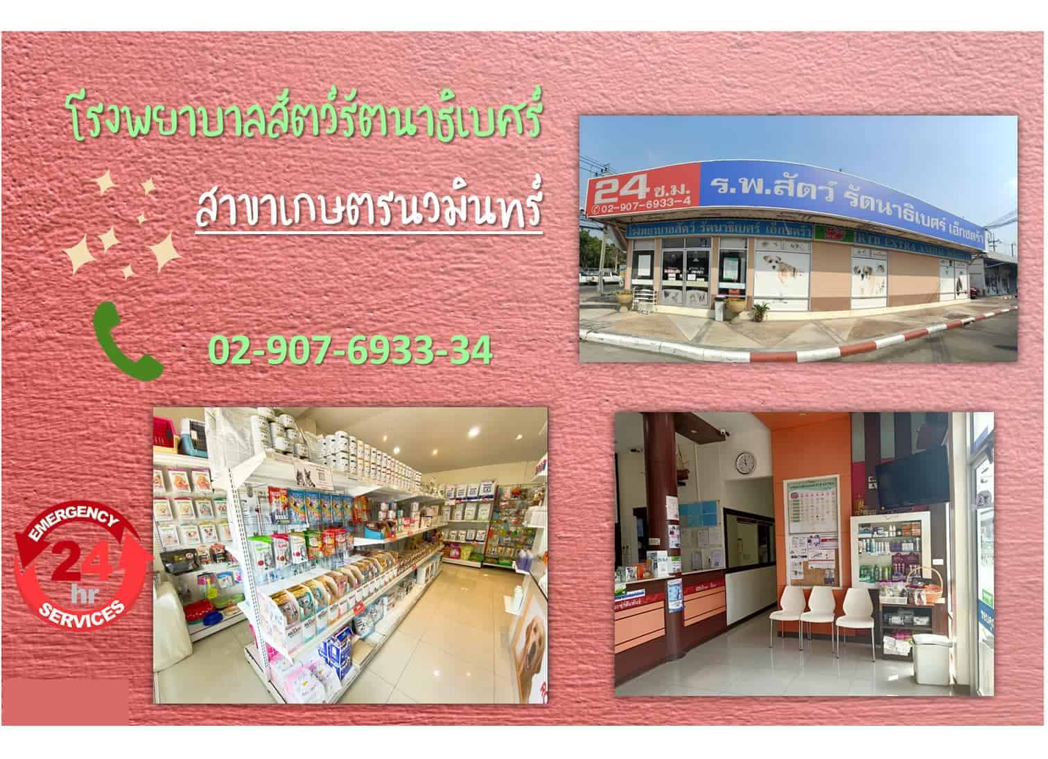 โรงพยาบาลสัตว์รัตนาธิเบศร์ (เกษตรนวมินทร์) RTB Referral Animal Hospital (Kaset-Nawamin) 2