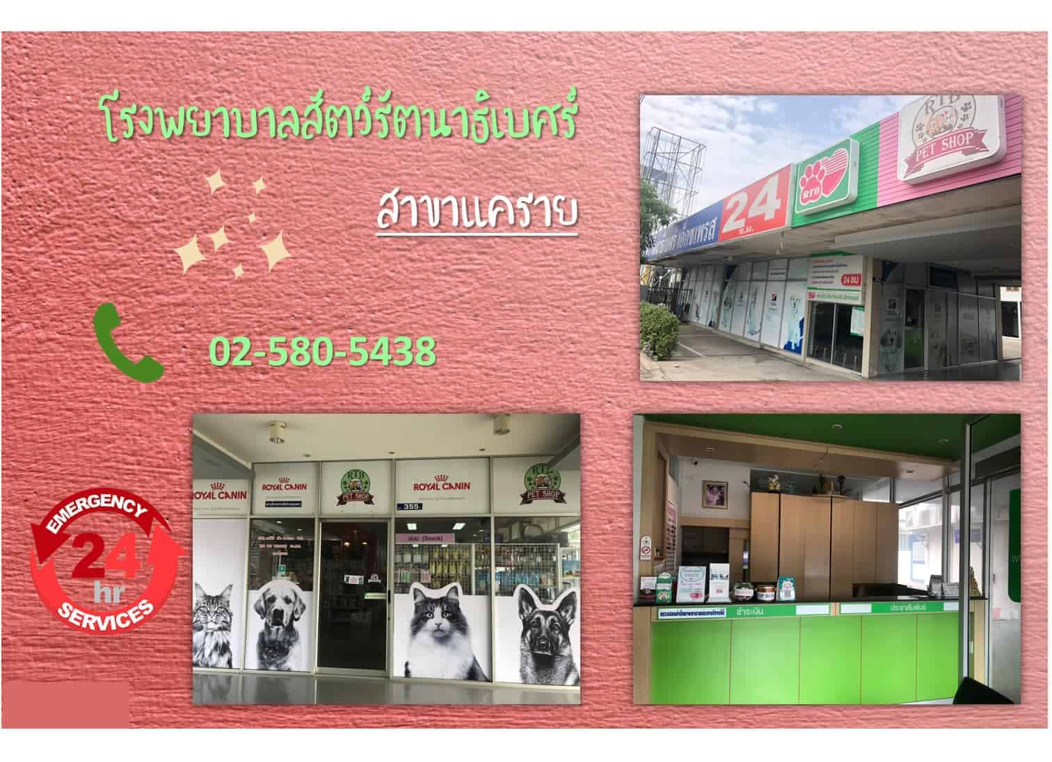 โรงพยาบาลสัตว์รัตนาธิเบศร์ (แคราย) RTB Referral Animal Hospital (Khae-Rai) 2