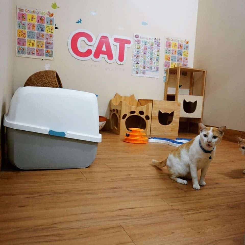 PaoCat Hotel 3