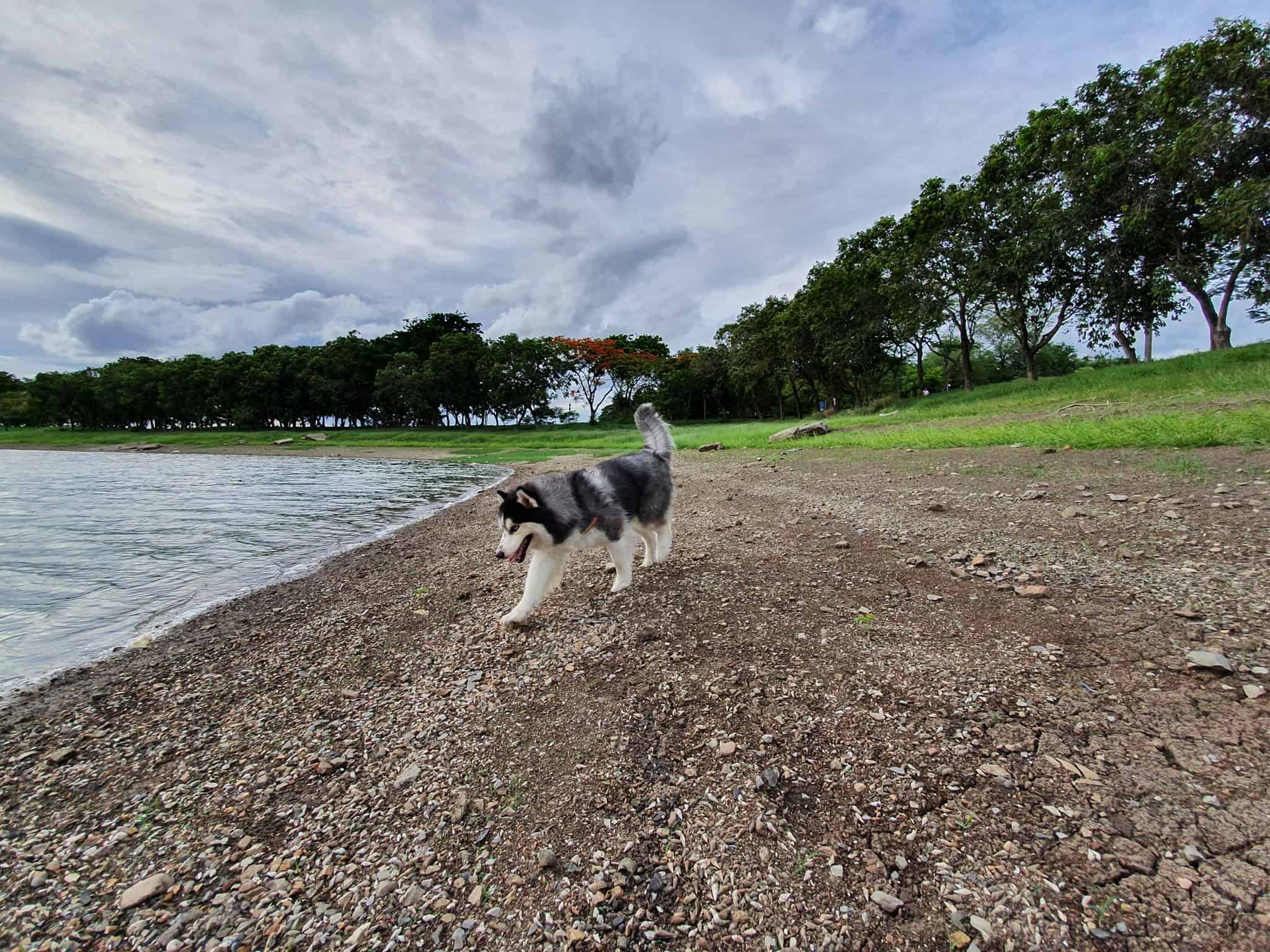 บึงหนองบอน Nong Bon Lake 4