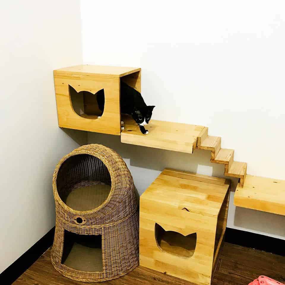 PaoCat Hotel 5