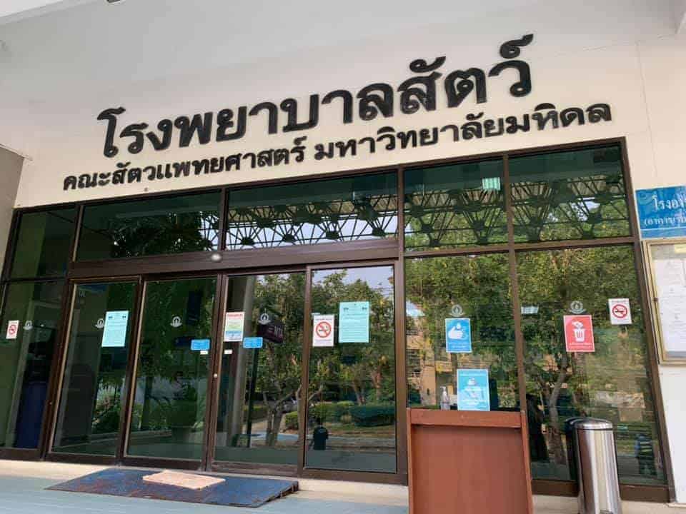 โรงพยาบาลสัตว์มหิดล	MU Vet Sci โรงพยาบาลสัตว์ประศุอาทร คณะสัตวแพทยศาสตร์ มหาวิทยาลัยมหิดล 3