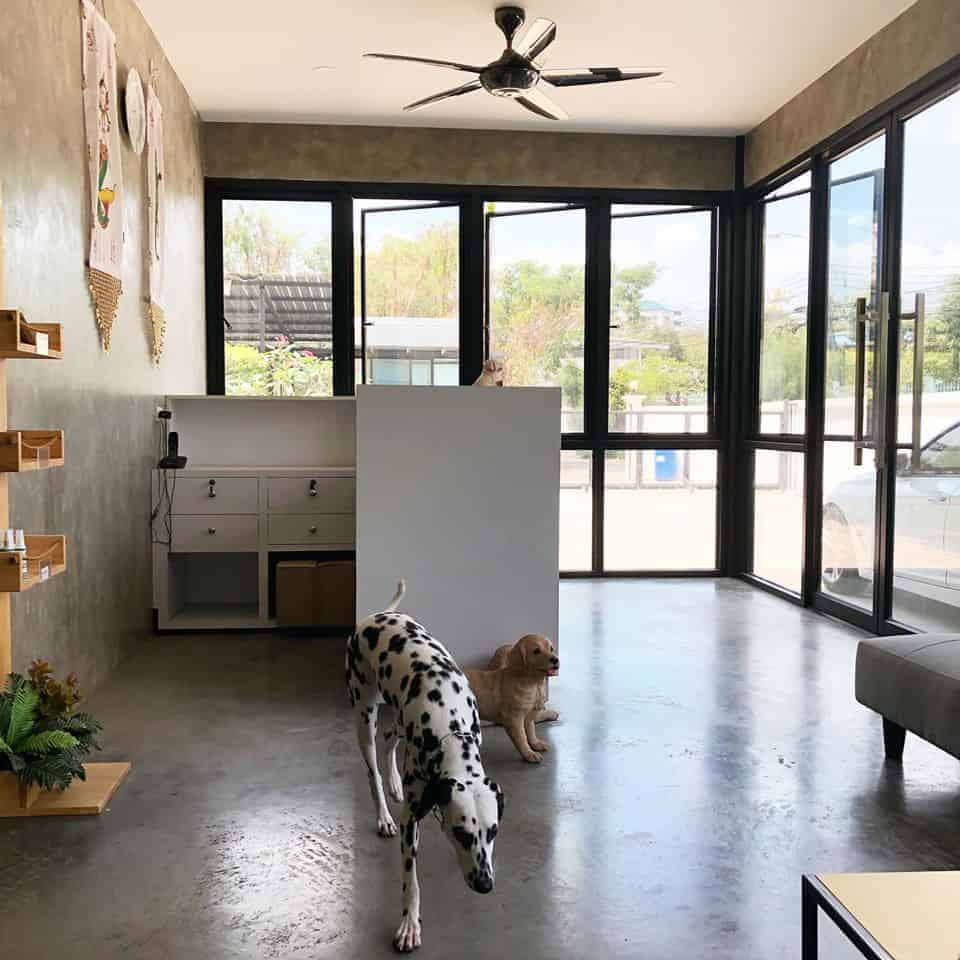 Puenpet Dog Hotel 7