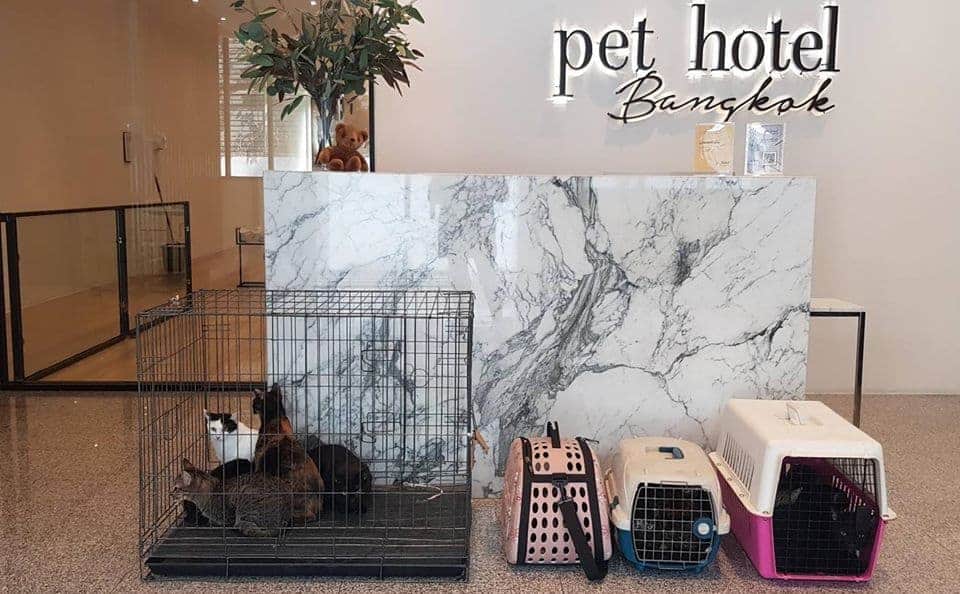 Pet Hotel Bangkok (สุขุมวิท) 1