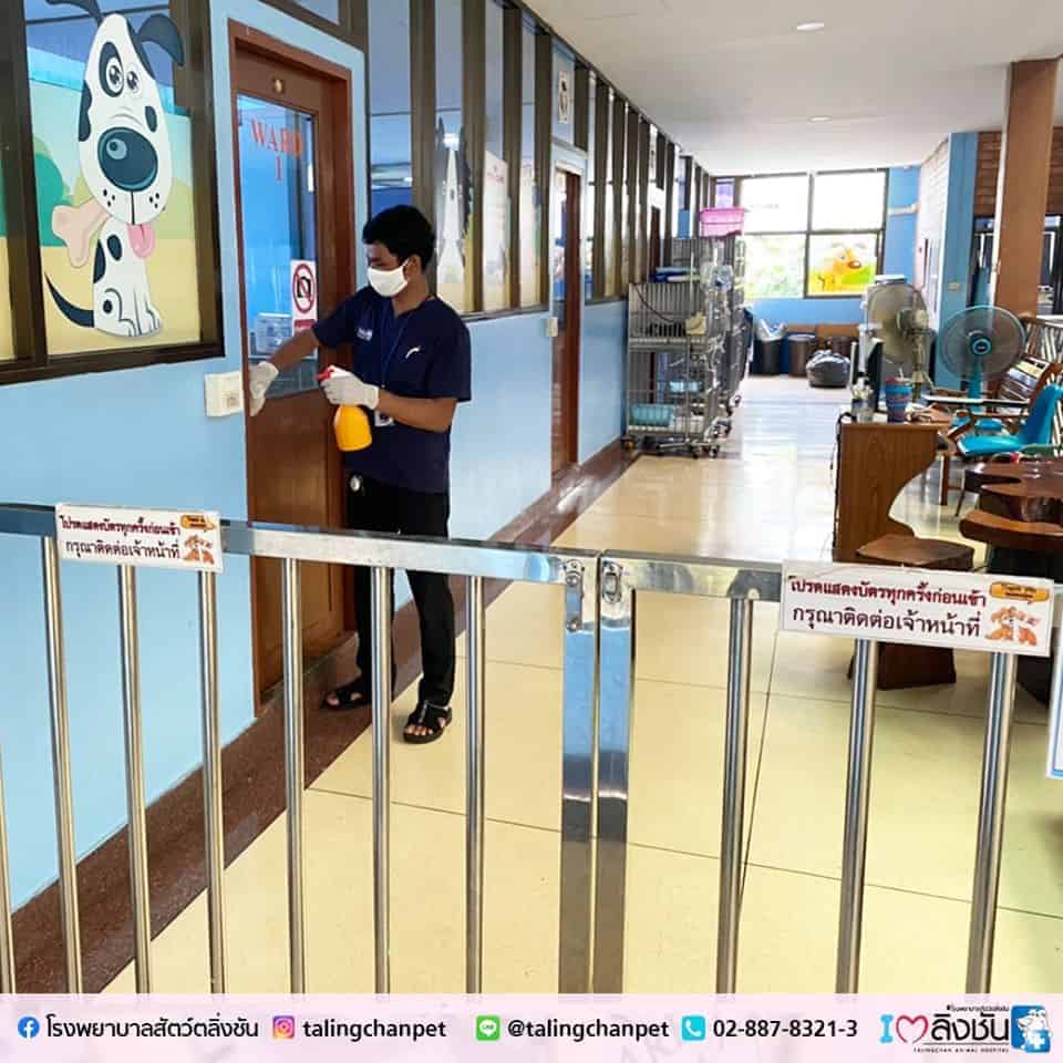 โรงพยาบาลสัตว์ตลิ่งชัน 4
