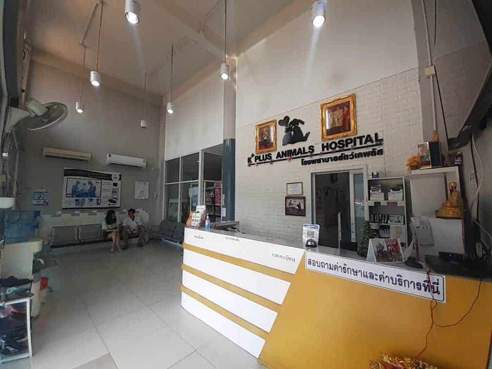โรงพยาบาลสัตว์เคพลัส K Plus Animal Hospital 3