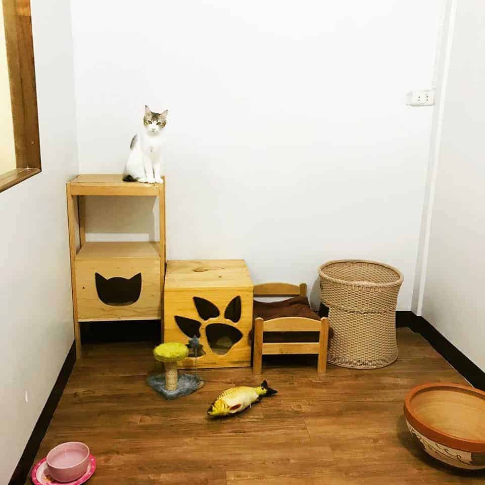 PaoCat Hotel 7