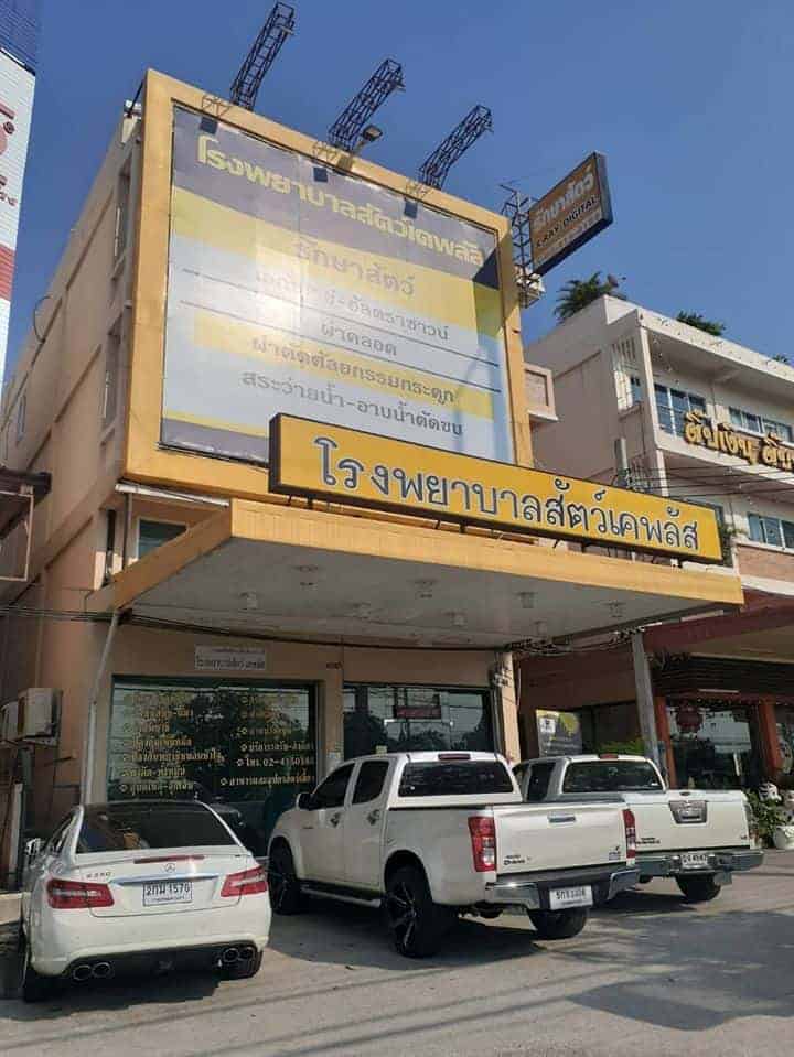 โรงพยาบาลสัตว์เคพลัส K Plus Animal Hospital 2