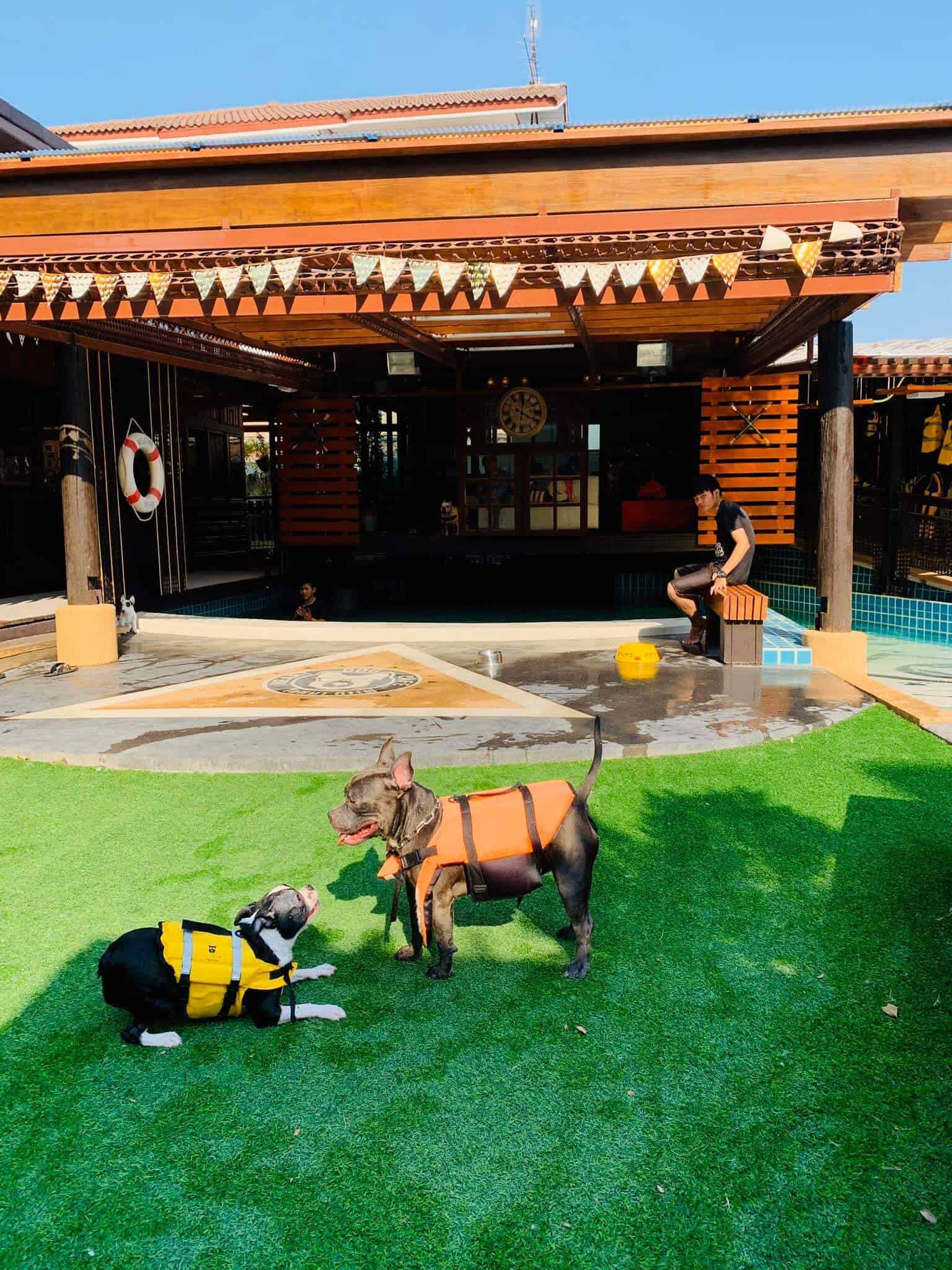 Heart Dog Cafe ใจหมาคาเฟ่ (รามอินทรา) 5