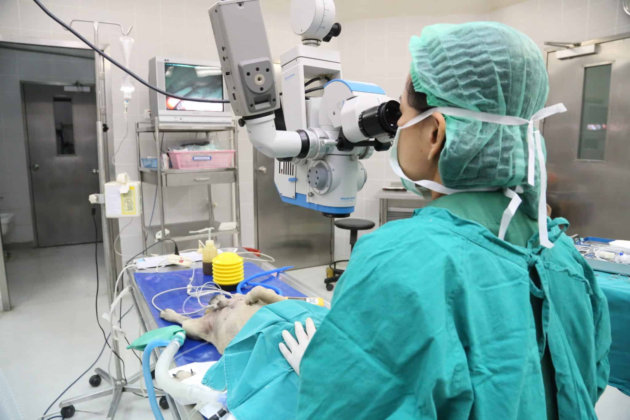 โรงพยาบาลสัตว์มหิดล	MU Vet Sci โรงพยาบาลสัตว์ประศุอาทร คณะสัตวแพทยศาสตร์ มหาวิทยาลัยมหิดล 6