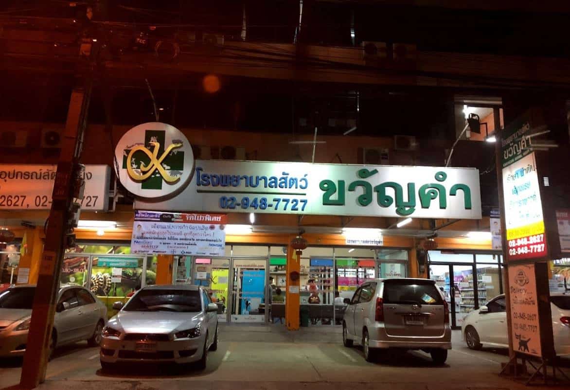 โรงพยาบาลสัตว์ขวัญคำ Kwuncum Veterinary Hospital 3