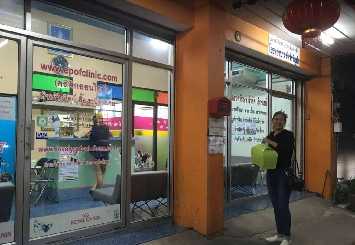 โรงพยาบาลสัตว์ขวัญคำ Kwuncum Veterinary Hospital 1