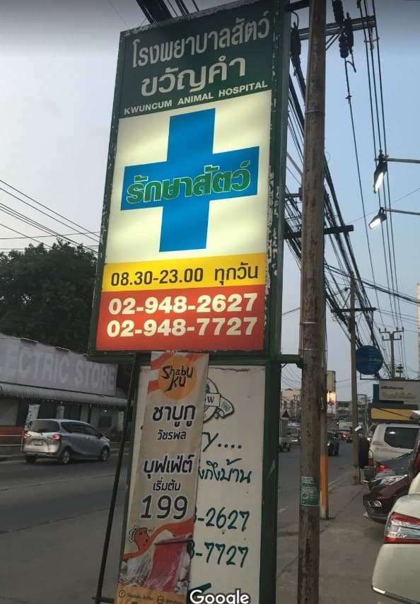 โรงพยาบาลสัตว์ขวัญคำ Kwuncum Veterinary Hospital 2