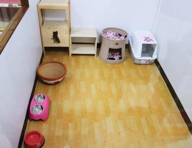PaoCat Hotel 9