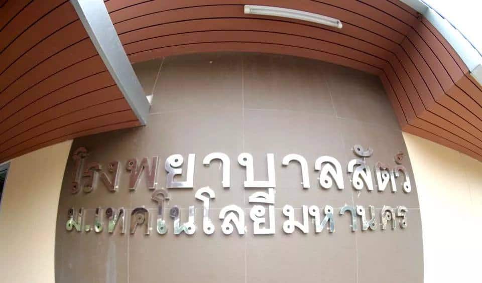 Small Animal Hospital, Mahanakorn University of Technology (โรงพยาบาลสัตว์เล็ก มหาวิทยาลัยเทคโนโลยีมหานคร) 3