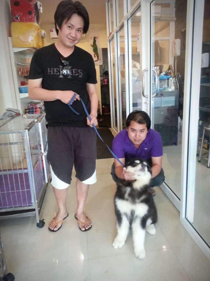 SANOOK DOGS GROOMING (ลาดกระบัง 5/5) 1