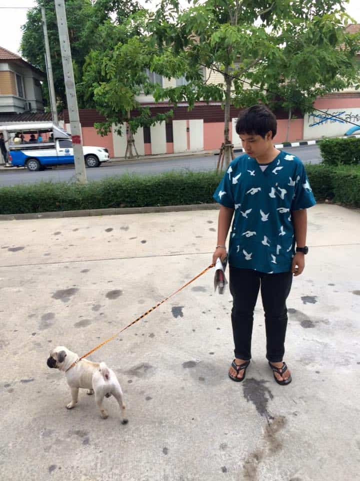Petconnect (โรงพยาบาลสัตว์เพ็ท คอนเนค) 6