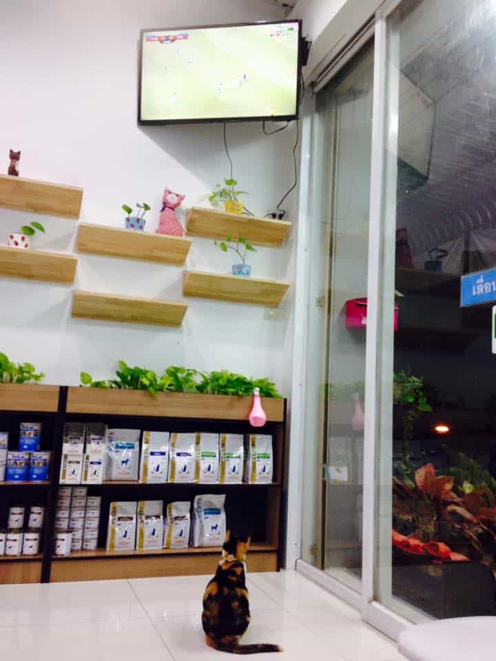 โรงพยาบาลสัตว์ ลำลูกกาคลอง 3 3
