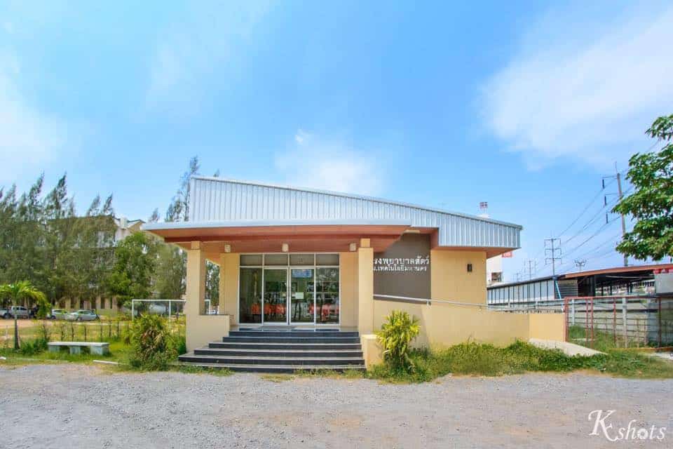 Small Animal Hospital, Mahanakorn University of Technology (โรงพยาบาลสัตว์เล็ก มหาวิทยาลัยเทคโนโลยีมหานคร) 4