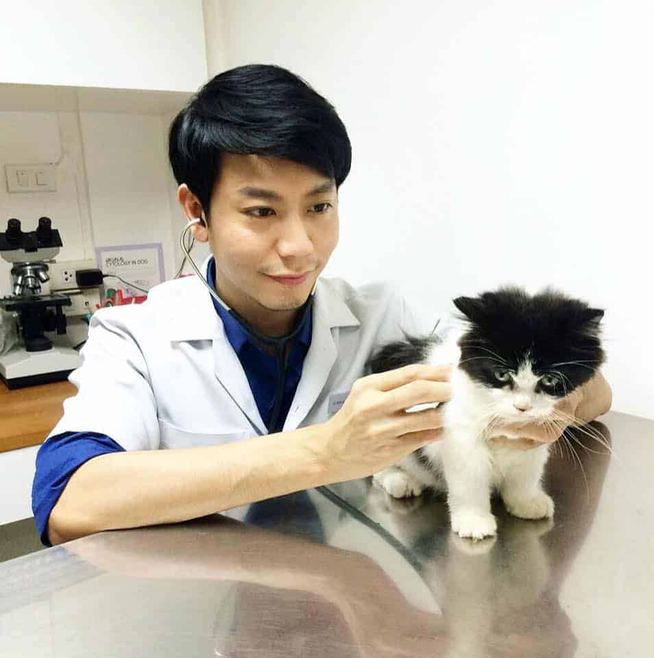 โรงพยาบาลสัตว์เดอะแกรนด์ 7