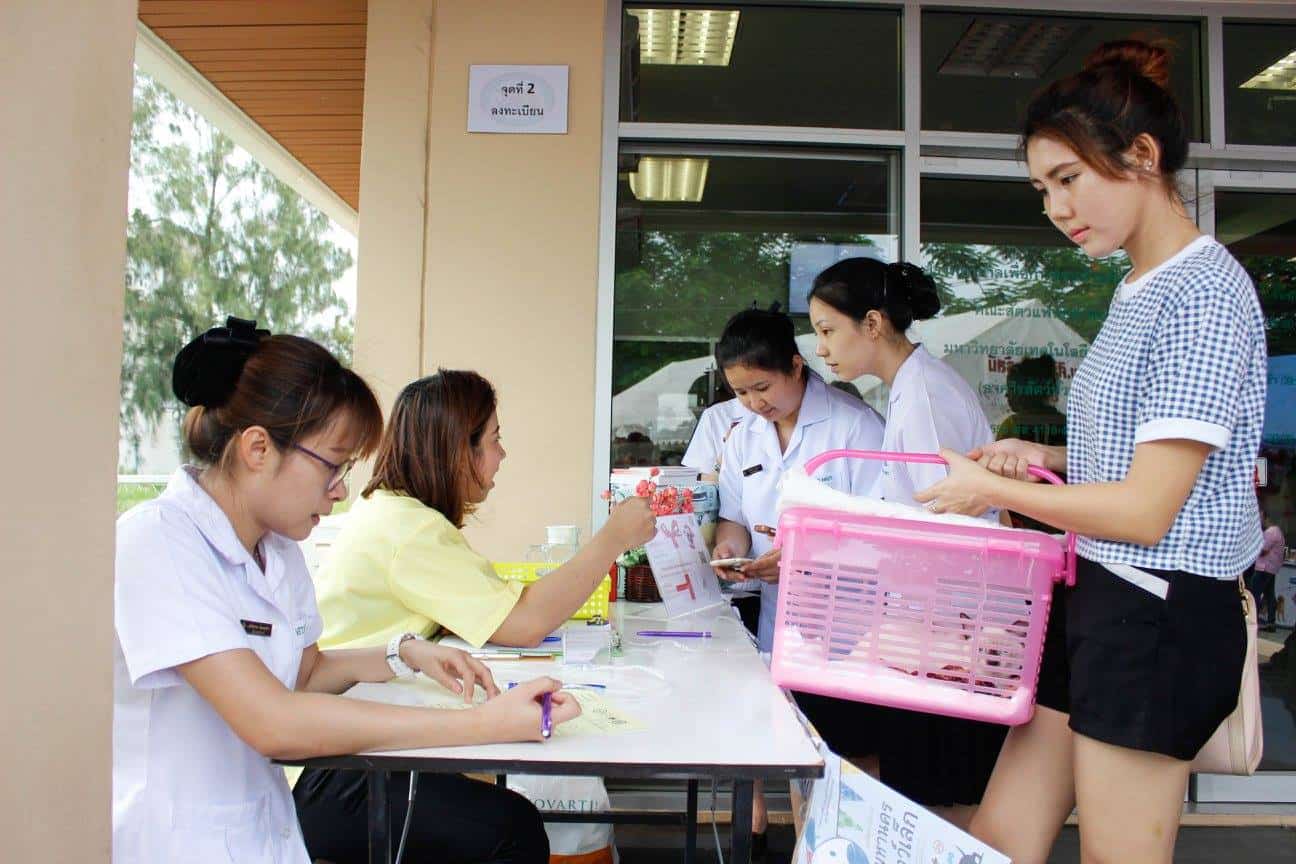 Small Animal Hospital, Mahanakorn University of Technology (โรงพยาบาลสัตว์เล็ก มหาวิทยาลัยเทคโนโลยีมหานคร) 5