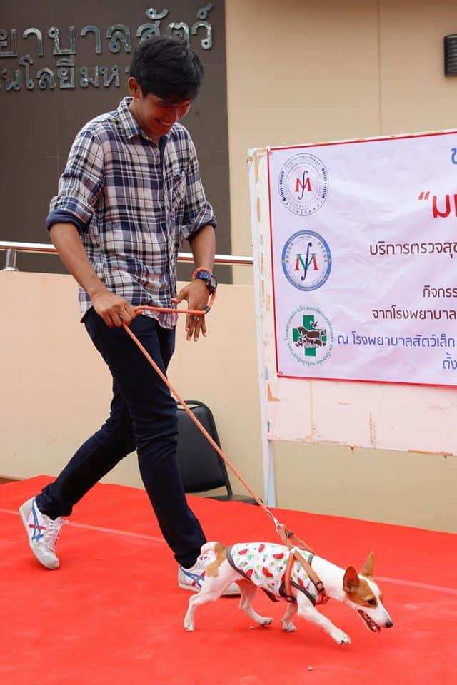 Small Animal Hospital, Mahanakorn University of Technology (โรงพยาบาลสัตว์เล็ก มหาวิทยาลัยเทคโนโลยีมหานคร) 7