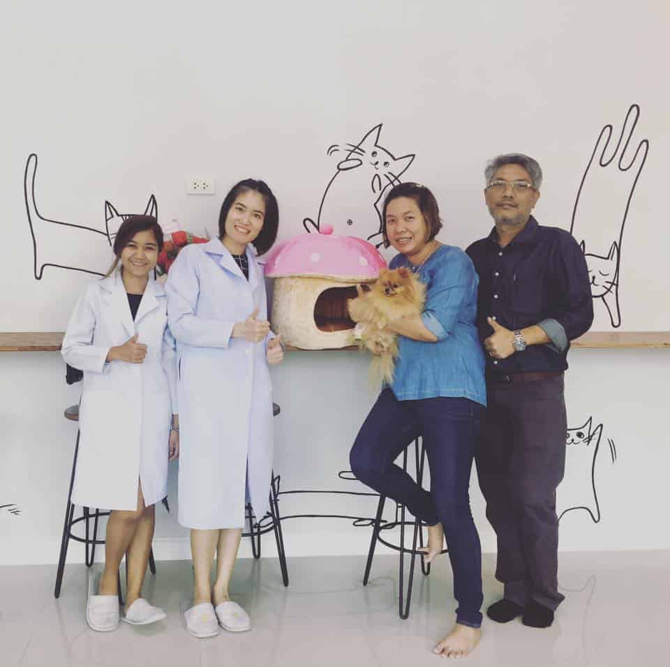 Ninety-nine Veterinary Hospital & Hotel (โรงพยาบาลสัตว์ไนน์ตี้ไนน์) 1