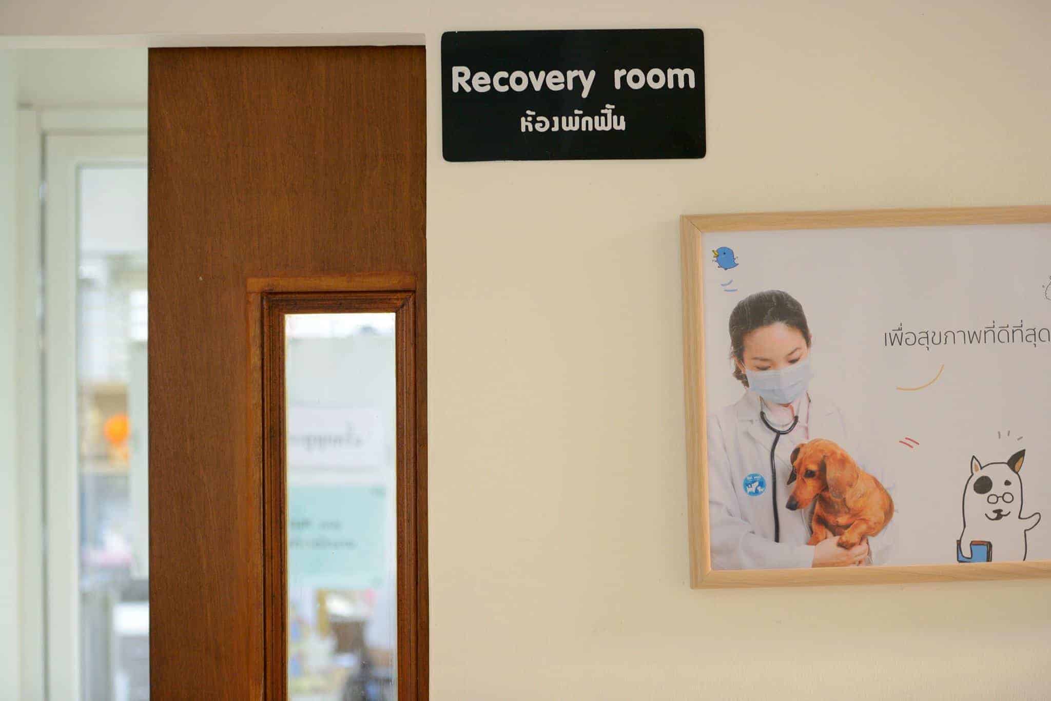 Saimai Animal Hospital (โรงพยาบาลสัตว์สายไหม) 4