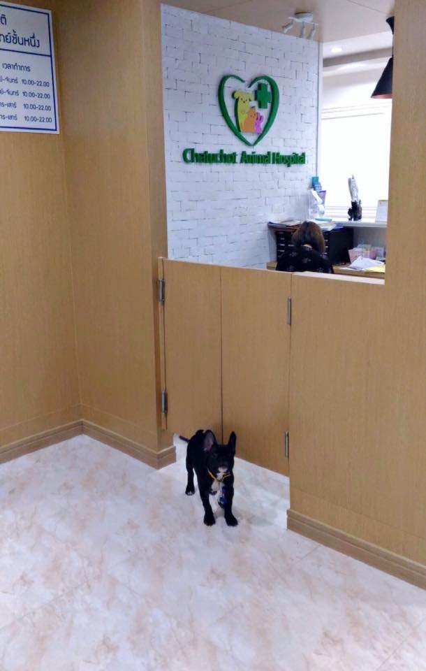 Chatuchot Animal Hospital (โรงพยาบาลสัตว์จตุโชติ) 2