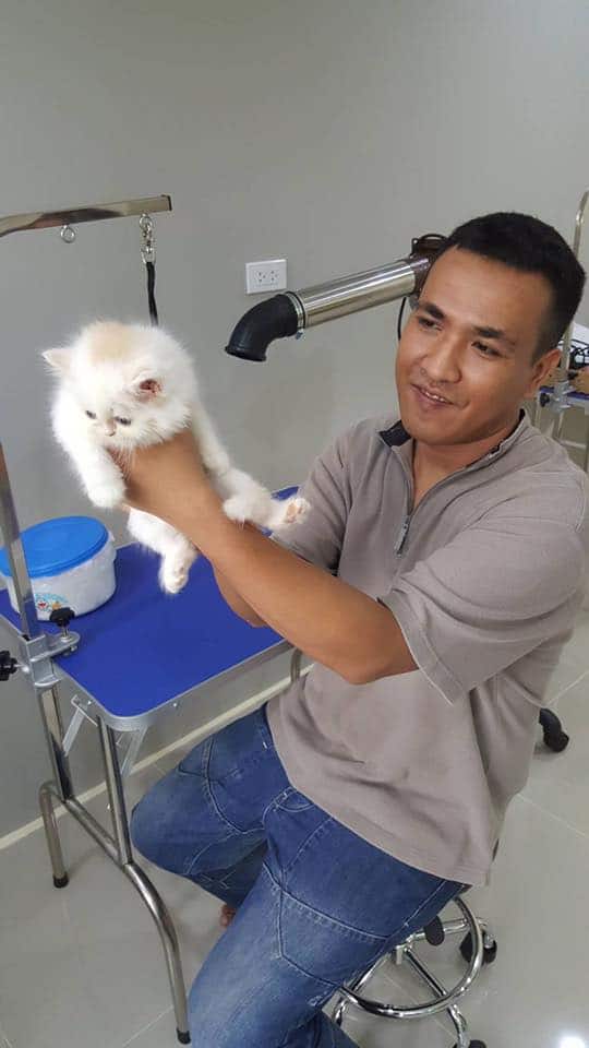 Suksiri Pet Hospital (โรงพยาบาลสัตว์สุขสิริ) 3