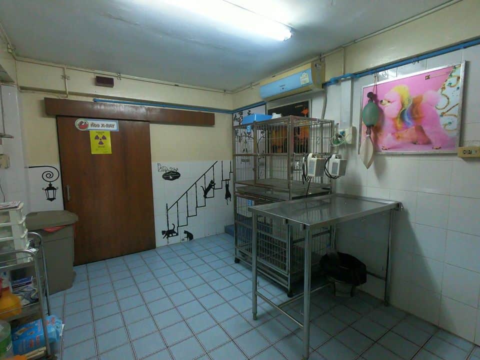 Wutthichai Veterinary (โรงพยาบาลสัตว์วุฒิชัย) 3