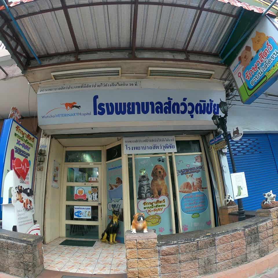 Wutthichai Veterinary (โรงพยาบาลสัตว์วุฒิชัย) 4