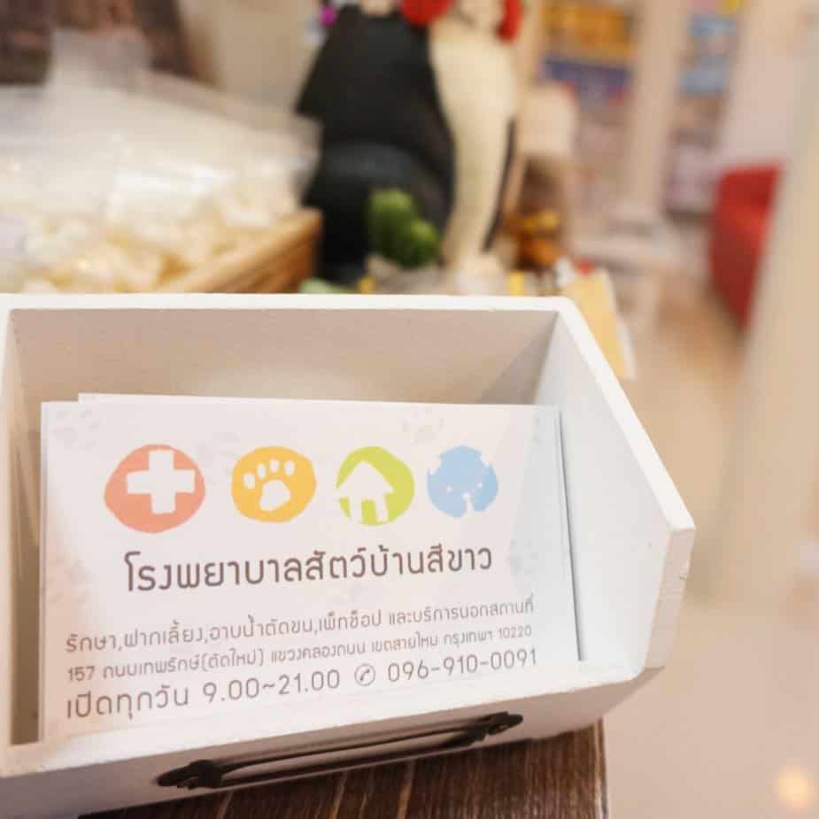โรงพยาบาลสัตว์บ้านสีขาว (สาขาถนนเทพรักษ์) 7