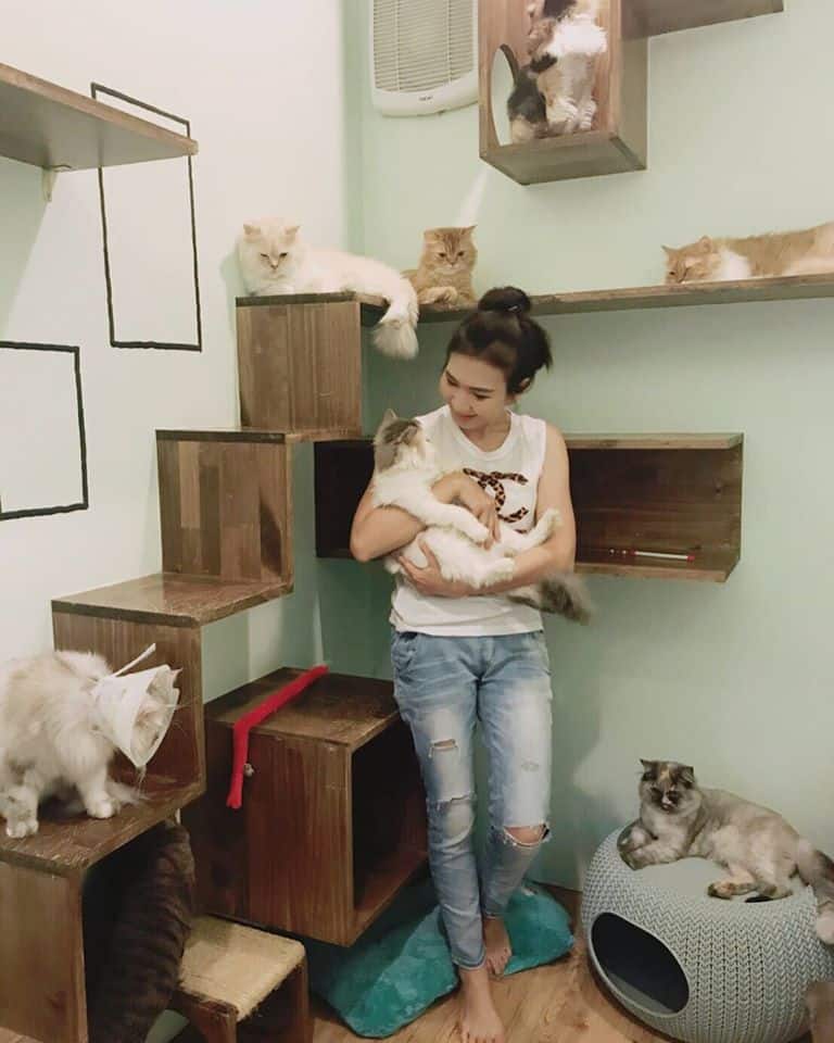 CAT STORY (แคท สตอรี่) Cat Hotel 9