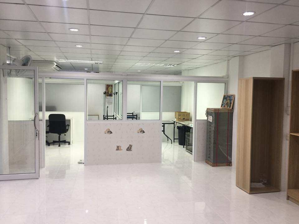 Petworld VR (โรงพยาบาลสัตว์เพ็ทเวิล์ด วิภารัชดา) 1