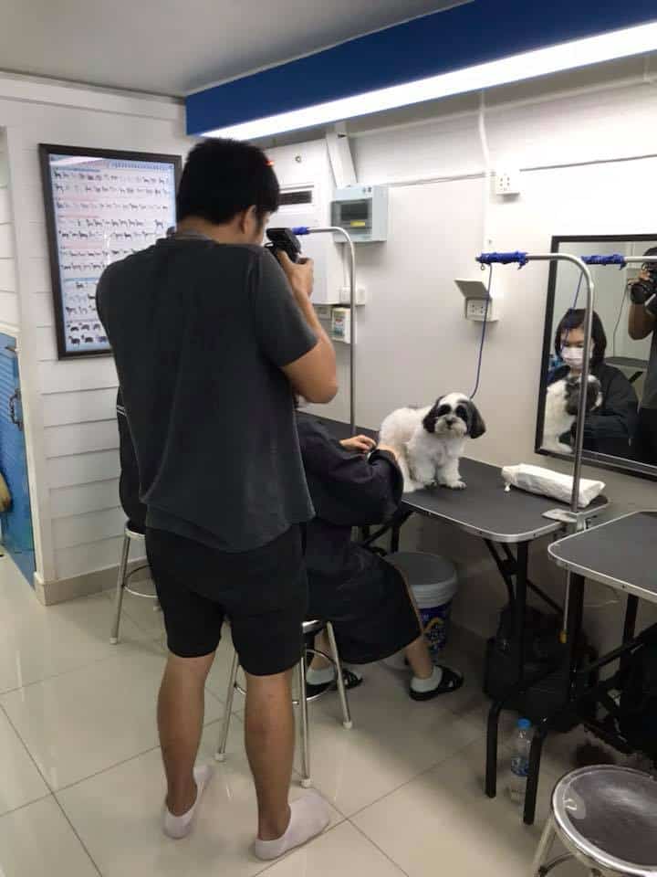 Perfectdog Petshop and School (หน้าโลตัสบางประกอก) 1