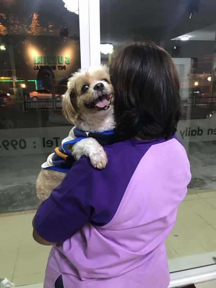 Suksiri Pet Hospital (โรงพยาบาลสัตว์สุขสิริ) 9