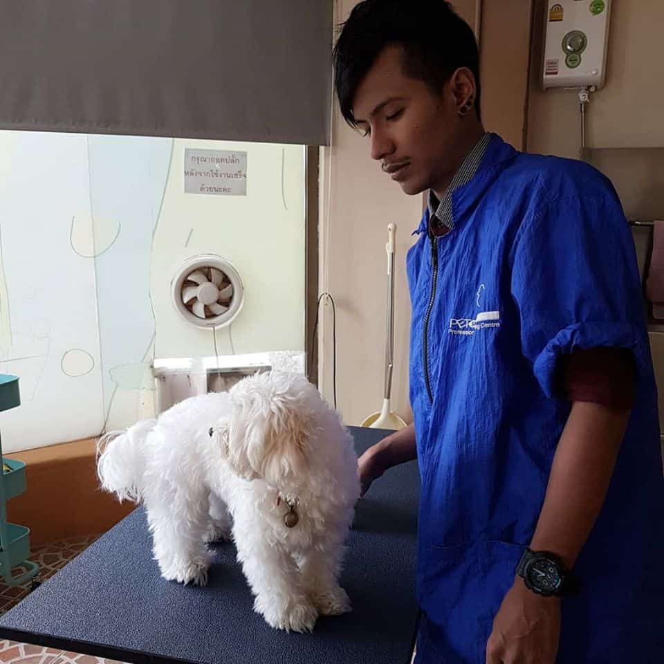 Pet Pirate Pet Store (แจ้งวัฒนะ) 3