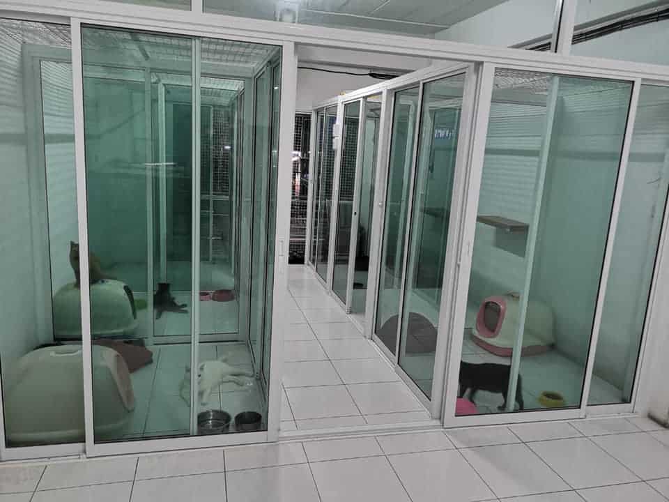 โรงพยาบาลสัตว์ ลำลูกกาคลอง 3 4