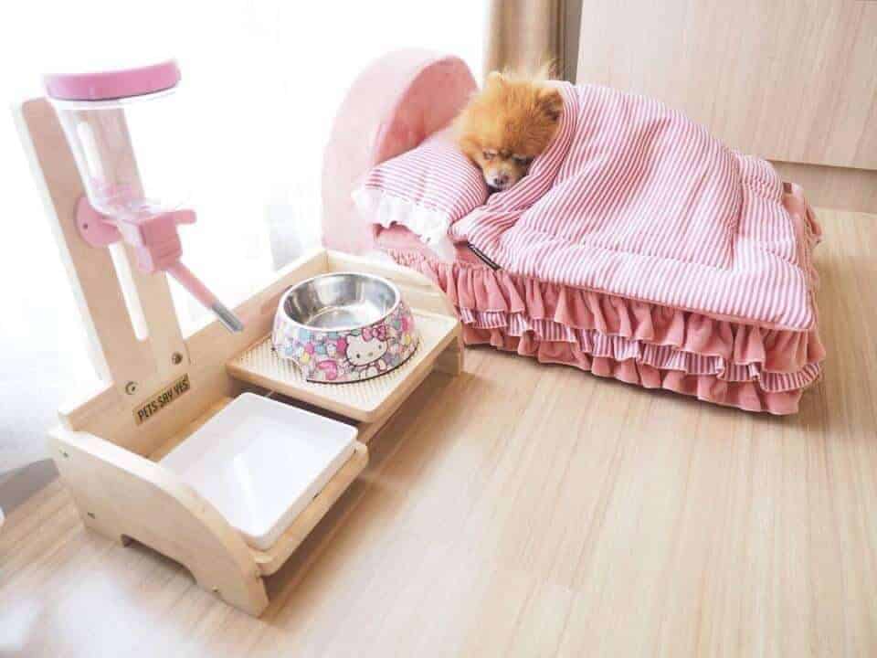 Koii Dog Home - โคอิ ด็อกโฮม 9