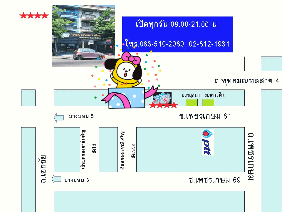 โรงพยาบาลสัตว์เพ็ท 81 Pet 81 Pet Hospital 3