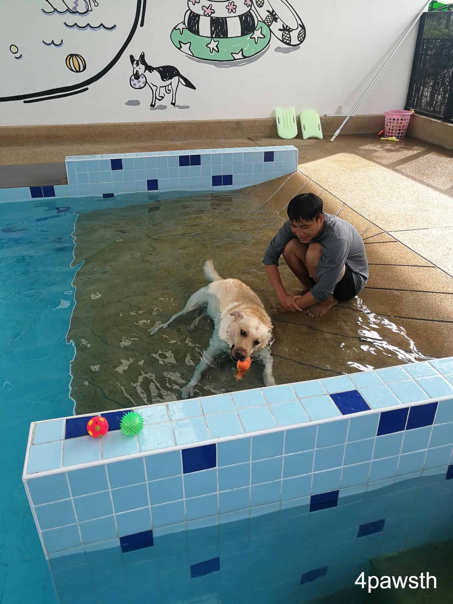 4Paws ฟอร์พอส์ ชลบุรี 3