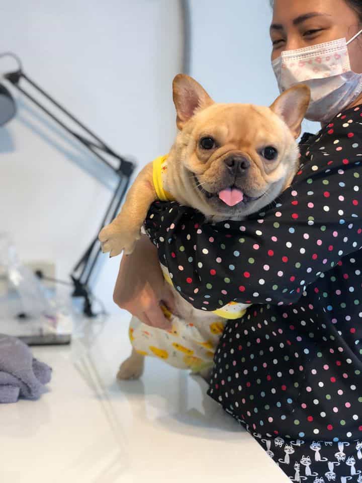 Pet Paw Vet Clinic(คลินิกรักษาสัตว์ เพ็ท พอว์) 1
