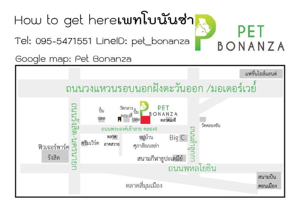 Pet Bonanza (ลำลูกกา คลอง4) 6