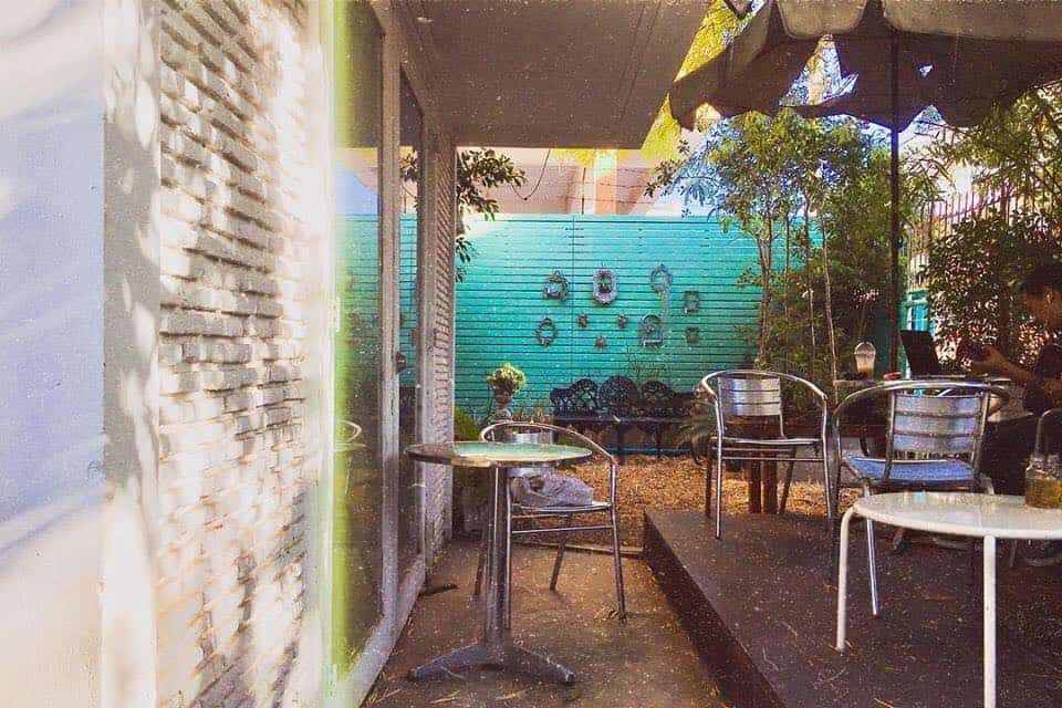 CatNip Cafe (แคทนิป คาเฟ่) Cat Cafe 2