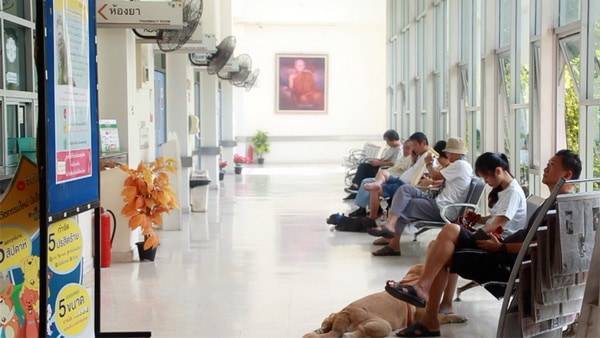 โรงพยาบาลสัตว์คณะสัตวแพทย์มหาวิทยาลัยขอนแก่น 2