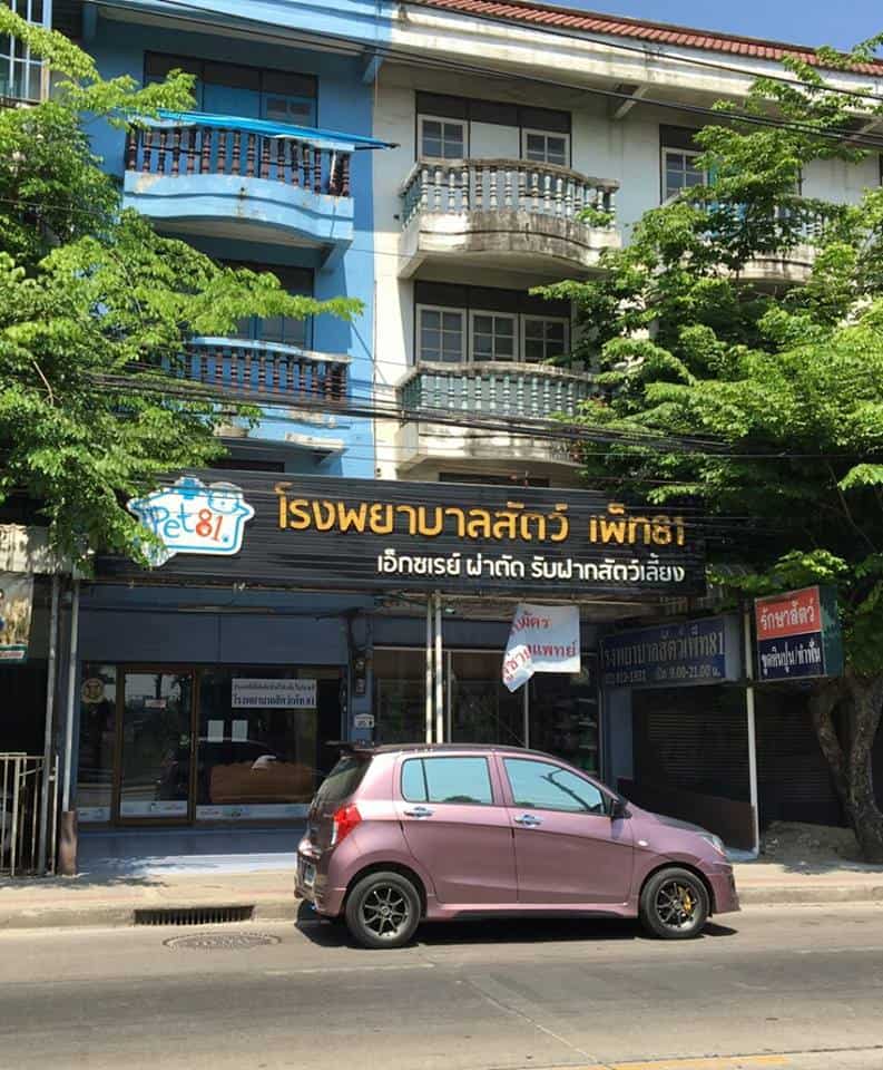โรงพยาบาลสัตว์เพ็ท 81 Pet 81 Pet Hospital 4