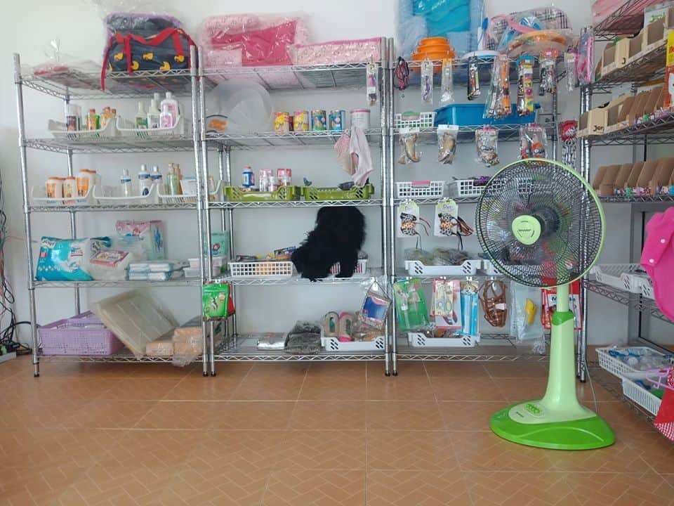 Pet Bonanza (ลำลูกกา คลอง4) 8